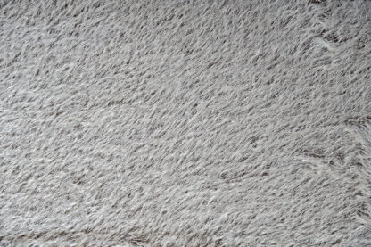 5_grau1